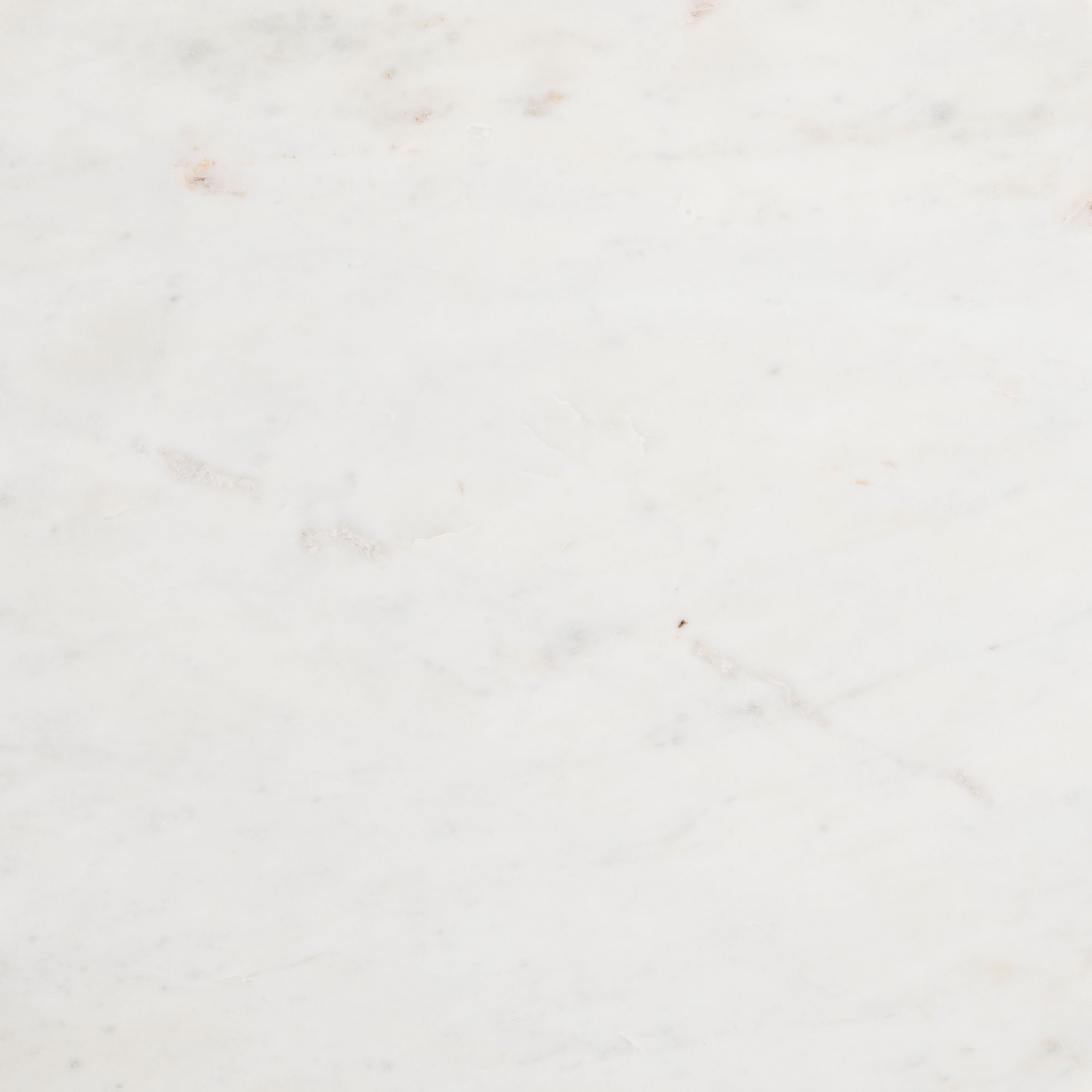 Izola - Coffee Table - White / Black - Premium Coffee Tables from Zuo Modern - Just $1250! Shop now at brett interiors