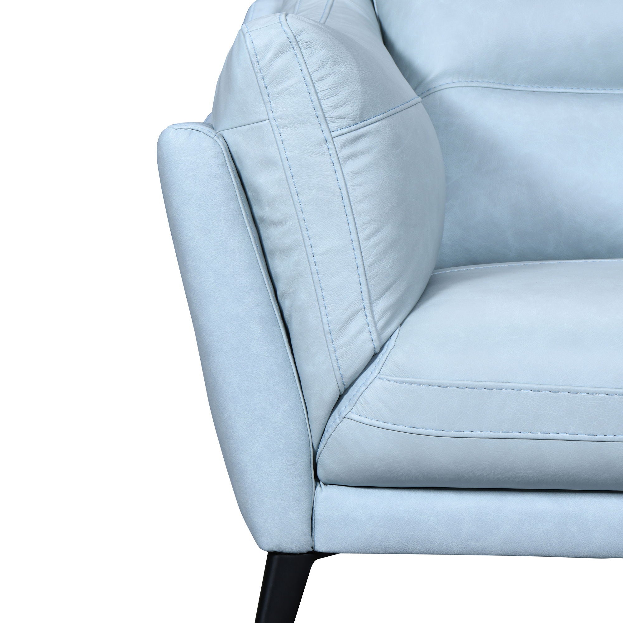 Franz - Leather Sofa - Premium Stationary Sofas from Armen Living - Just $2960! Shop now at brett interiors