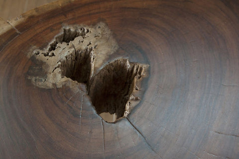 Vivo - Cocktail Table - Natural Two Tone - Premium Cocktail Tables from International Furniture Direct - Just $1087.50! Shop now at brett interiors