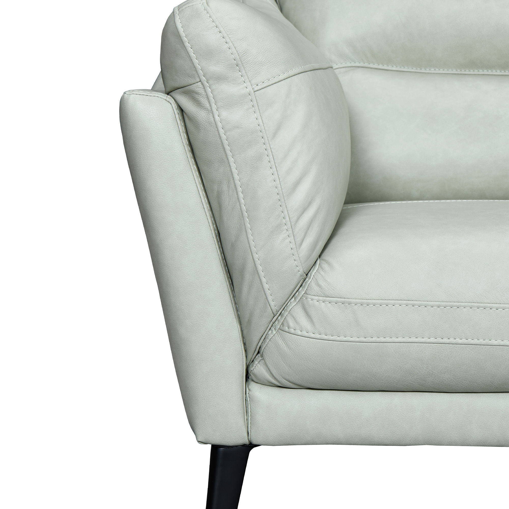 Franz - Leather Sofa - Premium Stationary Sofas from Armen Living - Just $2960! Shop now at brett interiors